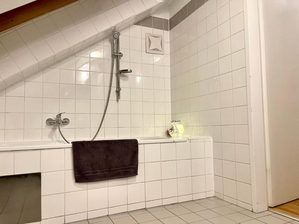 Ruhiges Dachgeschoß Cityapartment Im Zentrum Wiens Apartment