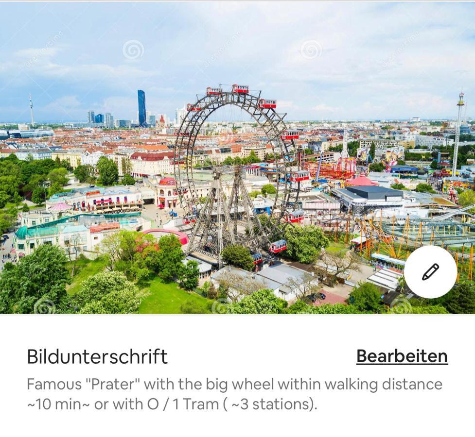 Ruhiges Dachgeschoß Cityapartment Im Zentrum Wiens *
